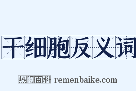 干细胞反义词是什么意思的图片